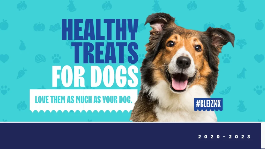 nuestra experiencia con bleiz